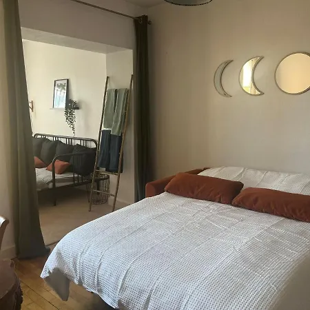 Frida- Thermal A 2 Min- 10 Pers - Chez Julie Apartment Nancy